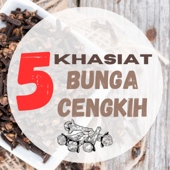 khasiat bunga cengkih 13