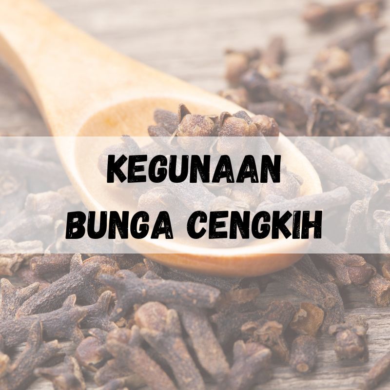 kegunaan bunga cengkih 1 kegunaan bunga cengkih