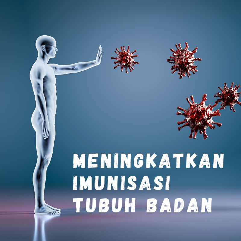 kegunaan bunga cengkih 3 kegunaan bunga cengkih