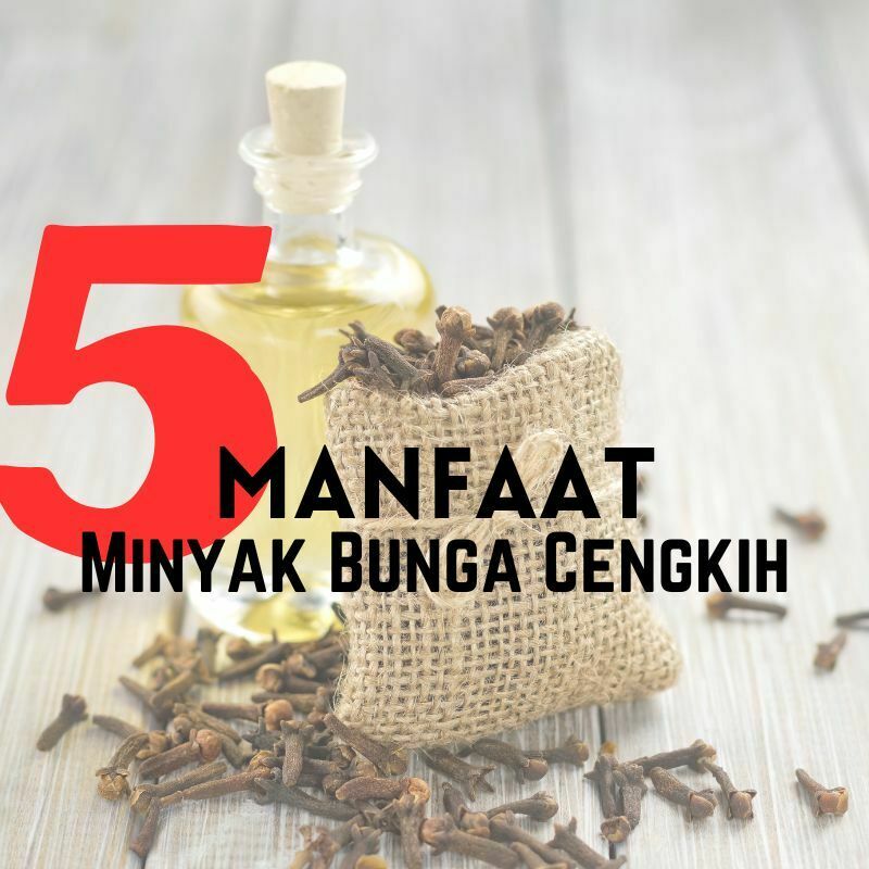 manfaat minyak bunga cengkih 1 manfaat minyak bunga cengkih