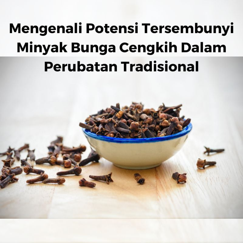 perubatan tradisional 1 perubatan tradisional